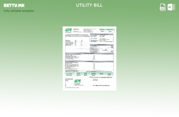 Шаблон за сметки за комунални услуги на LG&E во модерен стил на САД